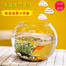 透明圆缸超厚圆形金鱼缸生态创意玻璃鱼缸水培缸球形