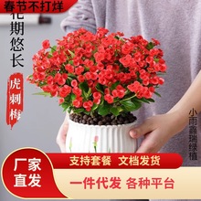 һ�����l�F�������Ի����҃��辰�Gֲ�ļ��_������÷�k���̨����