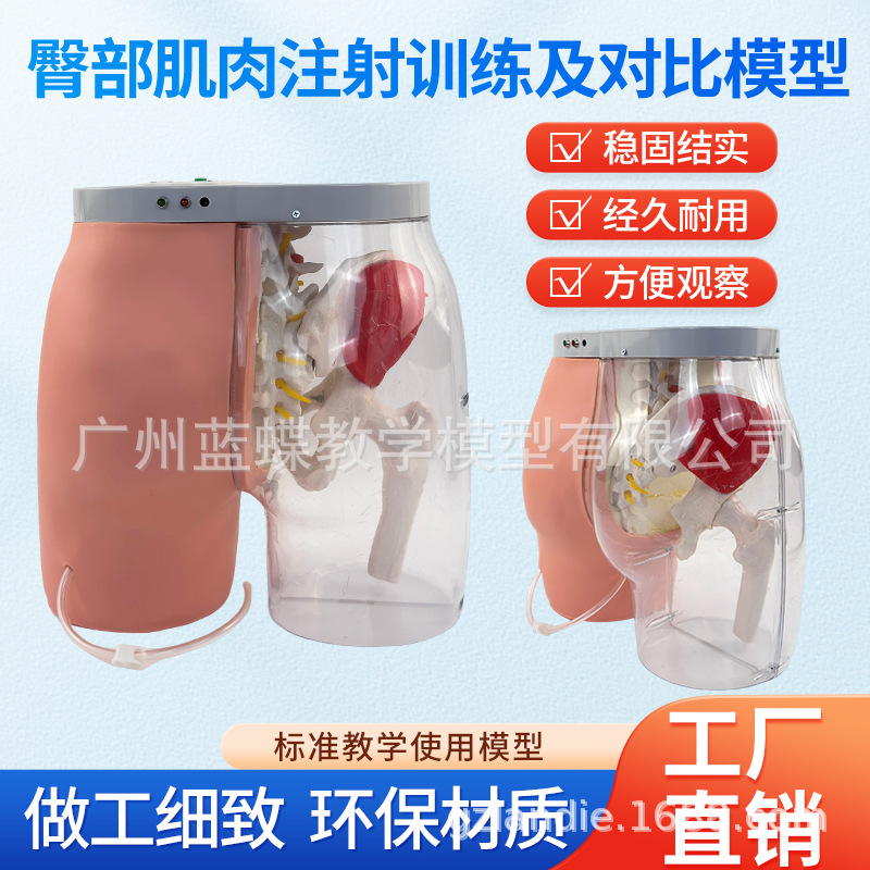 �β�����ע��͸���Ա�ģ��͸����Ѫ�����մ�����̵ƹⱨ��ϵͳ