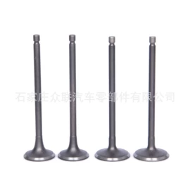 气门及部件;气门部件;油封