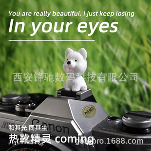 �ɐ۹������w��ͨ�η����C��ѥ�w΢��M50 R50 X-S10 600D 5D2