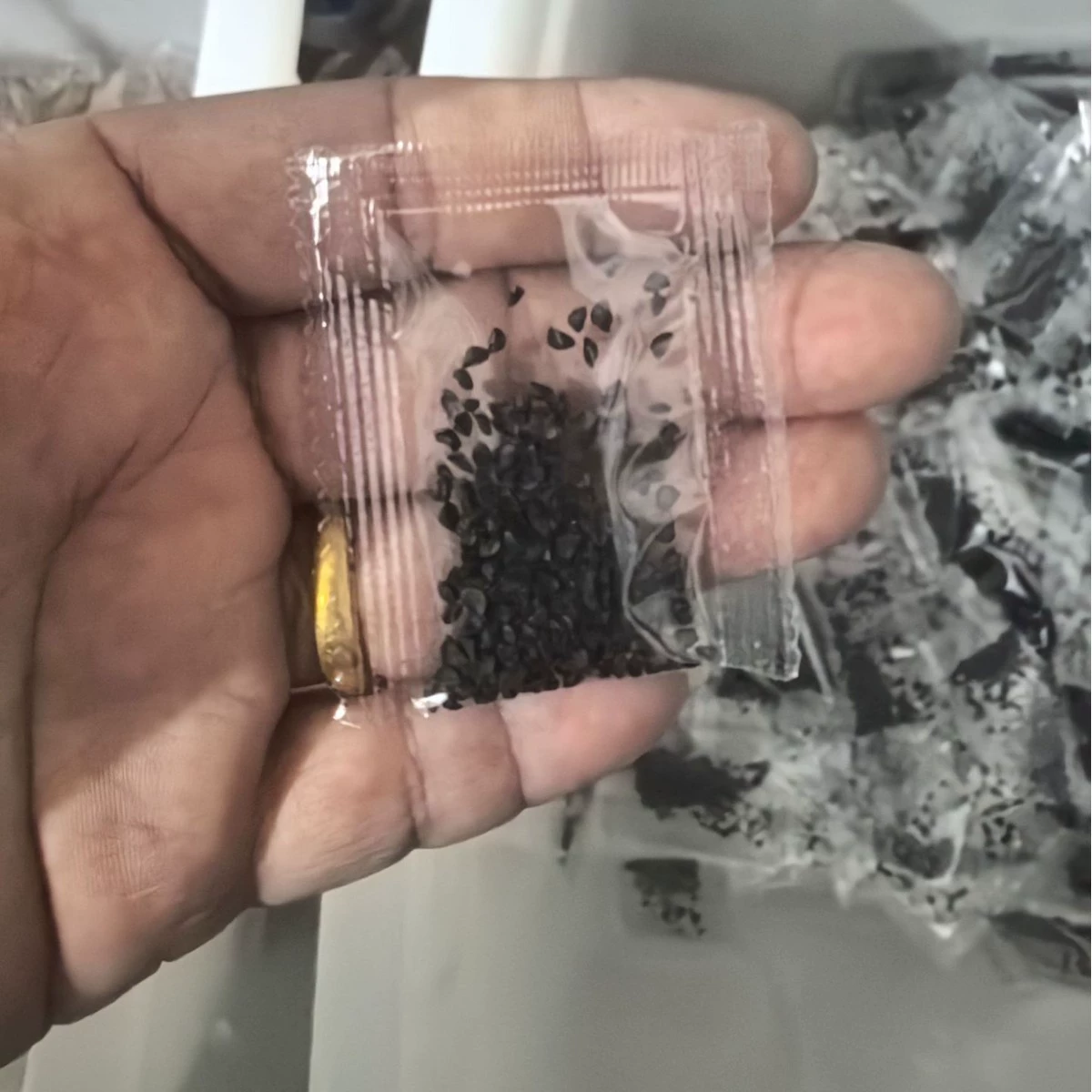 Торговая упаковка детских семян «сделай сам», травы, цветы, овощи, семена лесных деревьев, небольшие упаковочные семена