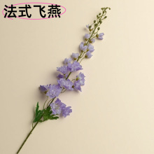 ���滨����ʽ�w�ࣩ�S��ֱ�N��c��Y���Ñ���Ƶ��bҾӻ���