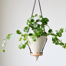 ���W��ɫ�մɵ�������ֲ�ﻨ����m�����Ғ�젝���@���軨ˇ�ֹ�