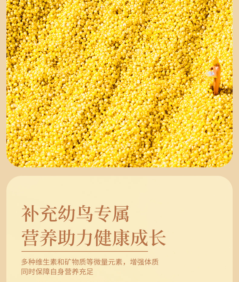 b576a053-9298-453a-8804-7aeba7c8ac01.jpe