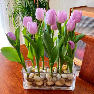 ���mˮ��������N�����������ļ����B�҃����̨�ͺ����ܷN�ӿ羳