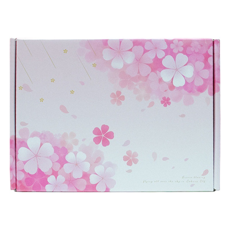 En stock color caja de aviones caja de embalaje de ropa caja de cartón expreso caja de regalo corrugado rojo caja de avión color lote pequeño