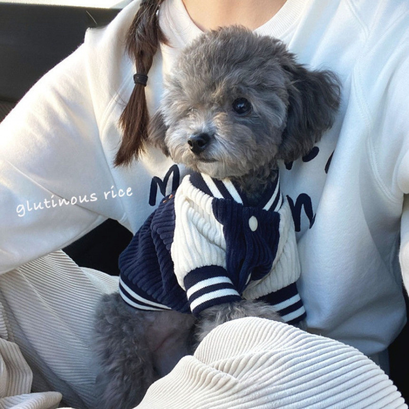 Trendy Internet Celebrity Style Dog Autumn and Winter Clothing Korean Baseball Jacket for Small Dogs Like Teddy and Cats, Warm Clothing with Free Shipping