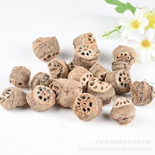 中药材藕节量大价优 藕节干 莲根 老藕节干货 茅根芦根  一件代发