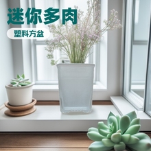 4c m����������Ϸ���Ĵָ�ظ����F��ʯ�������粥�N������ˮ��