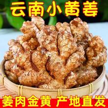 云南小黄姜老姜生姜新鲜黄姜土姜现挖子姜嫩姜鲜姜嫩姜芽10斤包邮