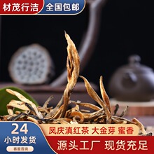 ���l����ն���2025�괺�����ѿ�P�c������ϵ�t��ɢ���ؼ�