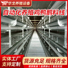 厂家生产养鸡设备 养鸡料线 自动喂料线 全自动上料设备