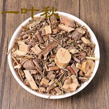 һ�~�� 1������ș��   һ�~�c С���� �M�� ������ �R����