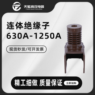 Tianci 10Kv Conjoined Insulator 630A-1250A High Voltage Switch Cabinet Circuit Breaker Pt Trolley Isolation Special