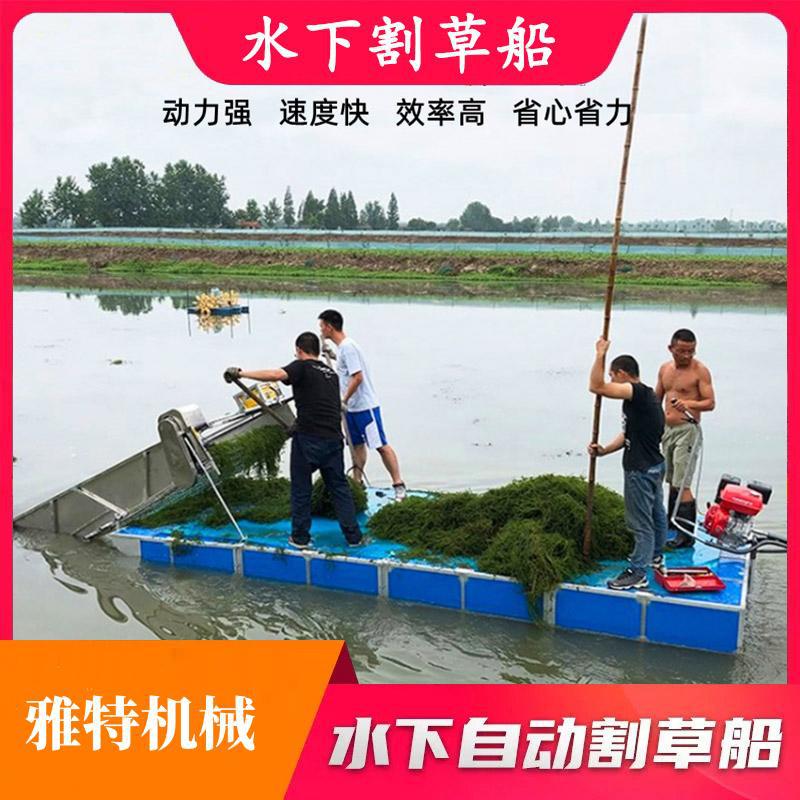 O1CN017HJH991b2SFYTCdzx_!!2214