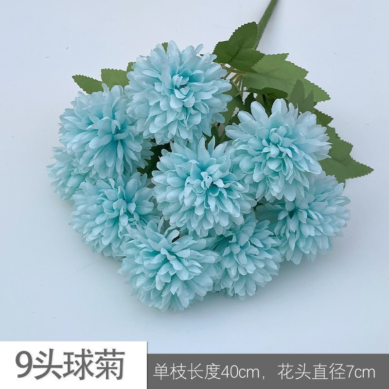 9 -headed chrysanthemum yul blue -green