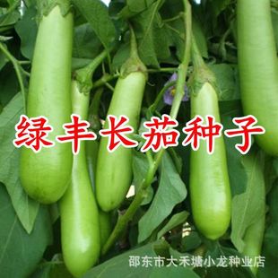 �Gɫ�L�ѷN�����ѷN���ļ��߲�ͥԺ�ͺ��͟�޽����Ӹ߮a�G�S