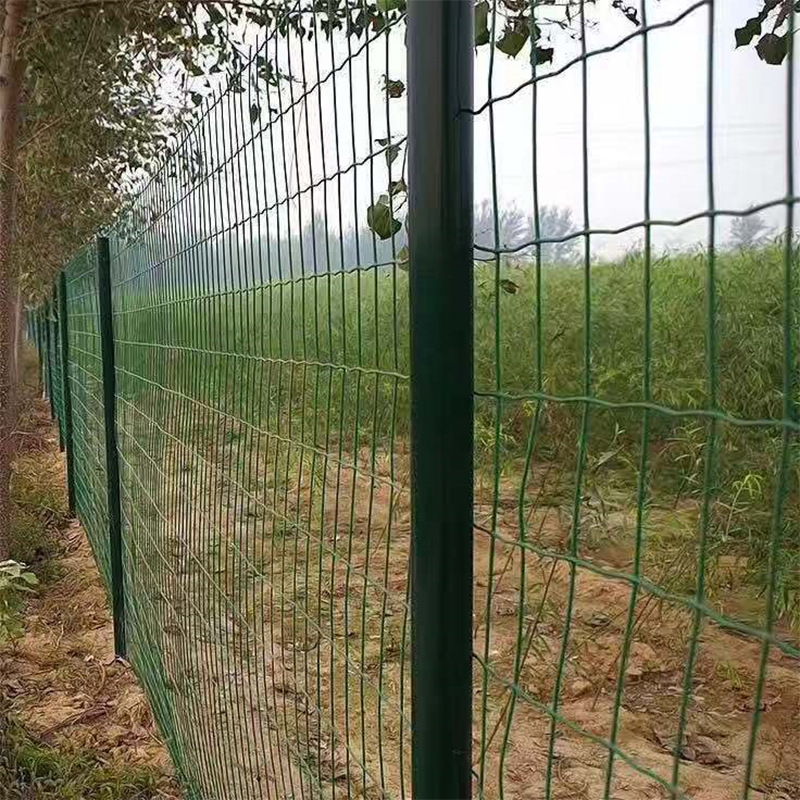 现货 铁丝网 护栏 绿色养殖网 篱笆围栏 围网 防护网 荷兰网鸡网