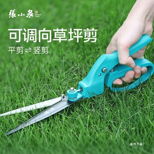Zhang Xiaoquan Lawn Mower, Household Garden Pruning, Flower Pruning, Greening, Lawn Mowing, Bonsai Flower Art Scissors, Jin Ye