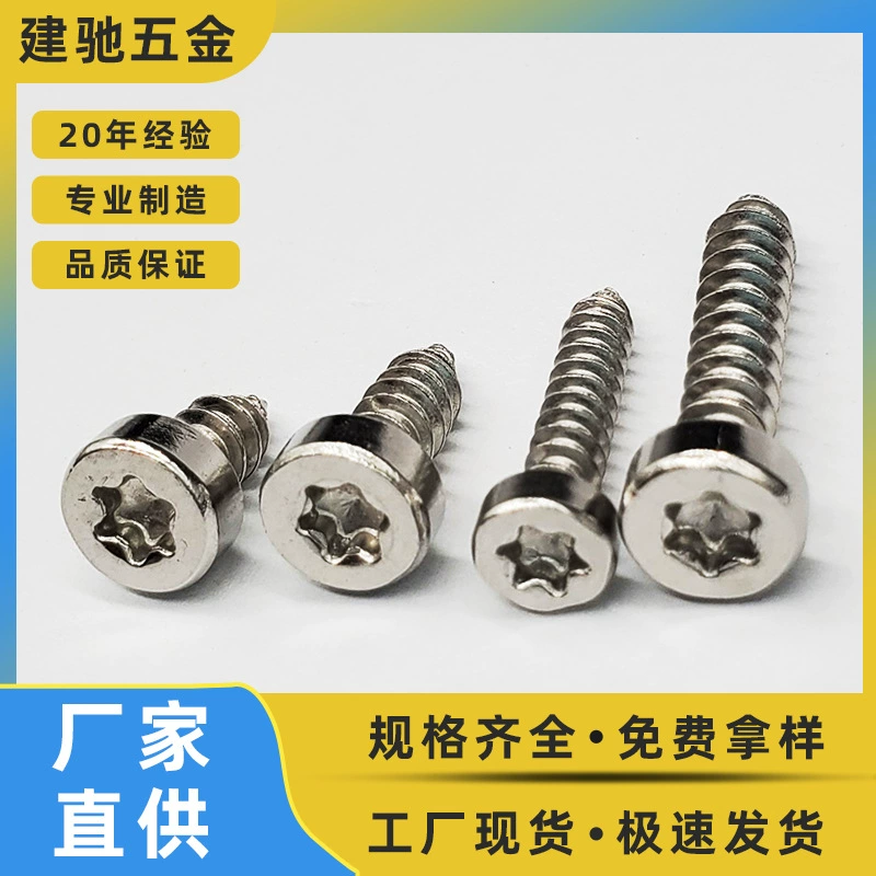 Прямые поставки с завода 304 винта из нержавеющей стали Цилиндрические саморезы с тонкой головкой для цветка сливы HA Гуандун Стандартные саморезы с заостренным хвостом