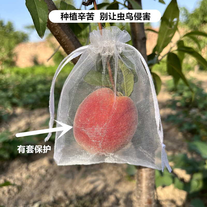 微信图片_20240604220817