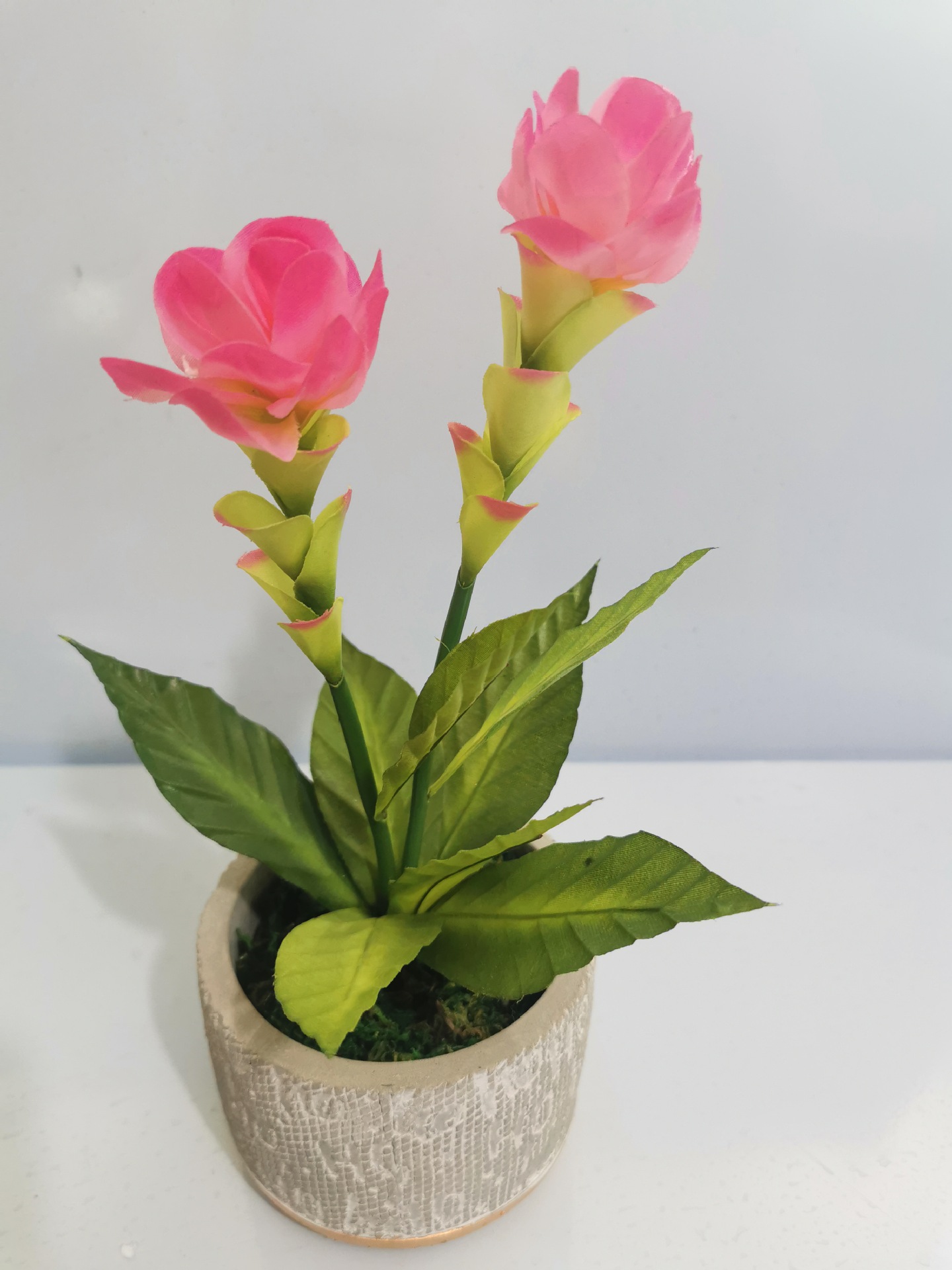 微信图片_20220301134653