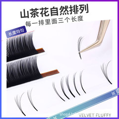 New Internet Celebrity Comic Style Sunflower Eyelash Grafting Velvet Single Root Multi-take Camellia Eyelash Shop Exclusively