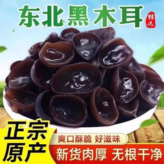 東北の野生の黒カビの干物の特産品の小さい碗の耳の肉の厚い白頭山の野生のむくみの木の秋の木の根のないキクラゲのyn