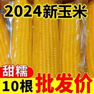 �|���SŴ������Ŵ���������հ��b����Ŵ���װ�10���S��������