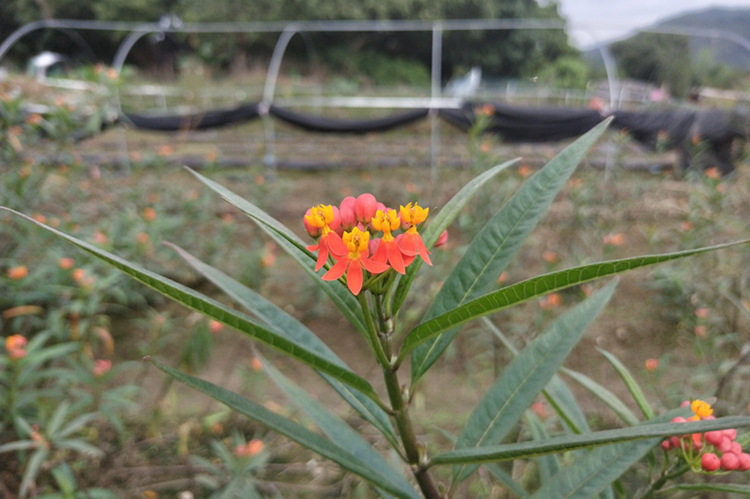 IMG20181122133610_副本