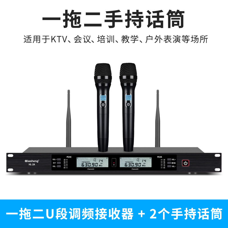 Micrófono inalámbrico TMD/Tengmandi de doble canal FM U-band Bluetooth para cantar, conferencias, KTV, verdadera diversidad