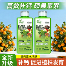 ֲa}Һw}w}ֲ߷щѹa}