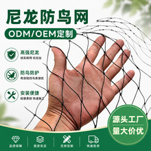 �����W�̨��؈�W̩��Խ���r�I�r��ˮ�a�Bֳ�ߏ��Ⱥ�ɫ�Ӵ��w�C��