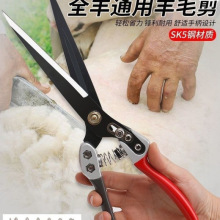 ��ʽ��ë������ë���ӹ�����ë���ߙn��̖���ü�����ë����ë��