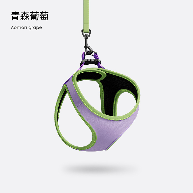 Correa de perro pequeño perro pecho Correa perro Correa chaleco perro de peluche perro correa de perro oso