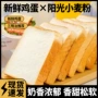 健康早餐营养休闲吐司