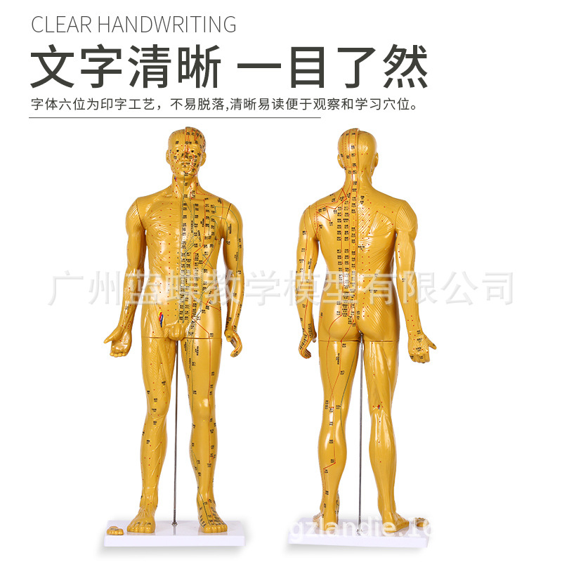 85CM���ͭ �� �������ģ�;���Ѩλ��ҽȫ��ʮ��ͭ��ģ��ͼƤ��