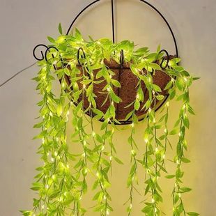 LED�ʟ����~�����ҝM�����ٗl�����������������bڒ������