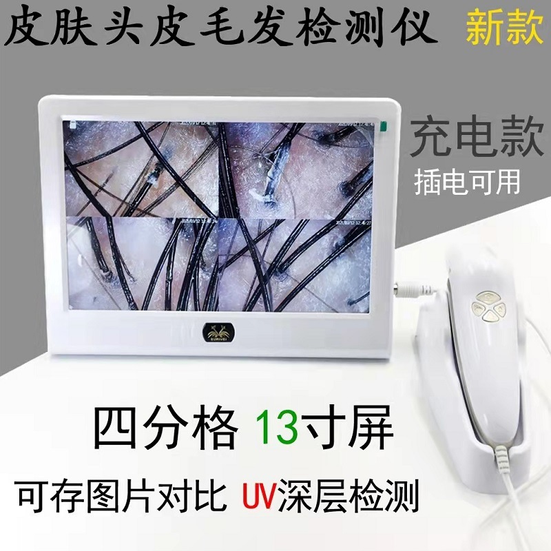 모발 탐지기 HD 피부 테스트 두피 데스크탑 3 스펙트럼 4 구획 충전 플러그인은 모낭을 저장할 수 있습니다