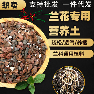 Factory wholesale orchid soil pine bark decomposed orchid special soil planting material Dendrobium succulent potted soil universal type