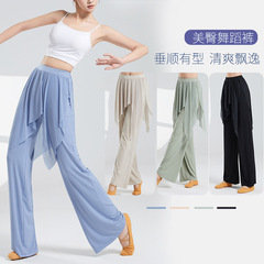 女性用モダンダンスパンツ、ストレッチモーダルトレーニングメッシュスカートパンツ、ボディダンス練習パンツ、大人用ラテンダンスパンツ