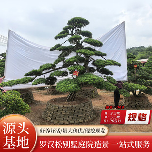 ͥԺ�����_�h���Ϙ��@�ֹ��̾G�������������е�����͆�ľ���͘�