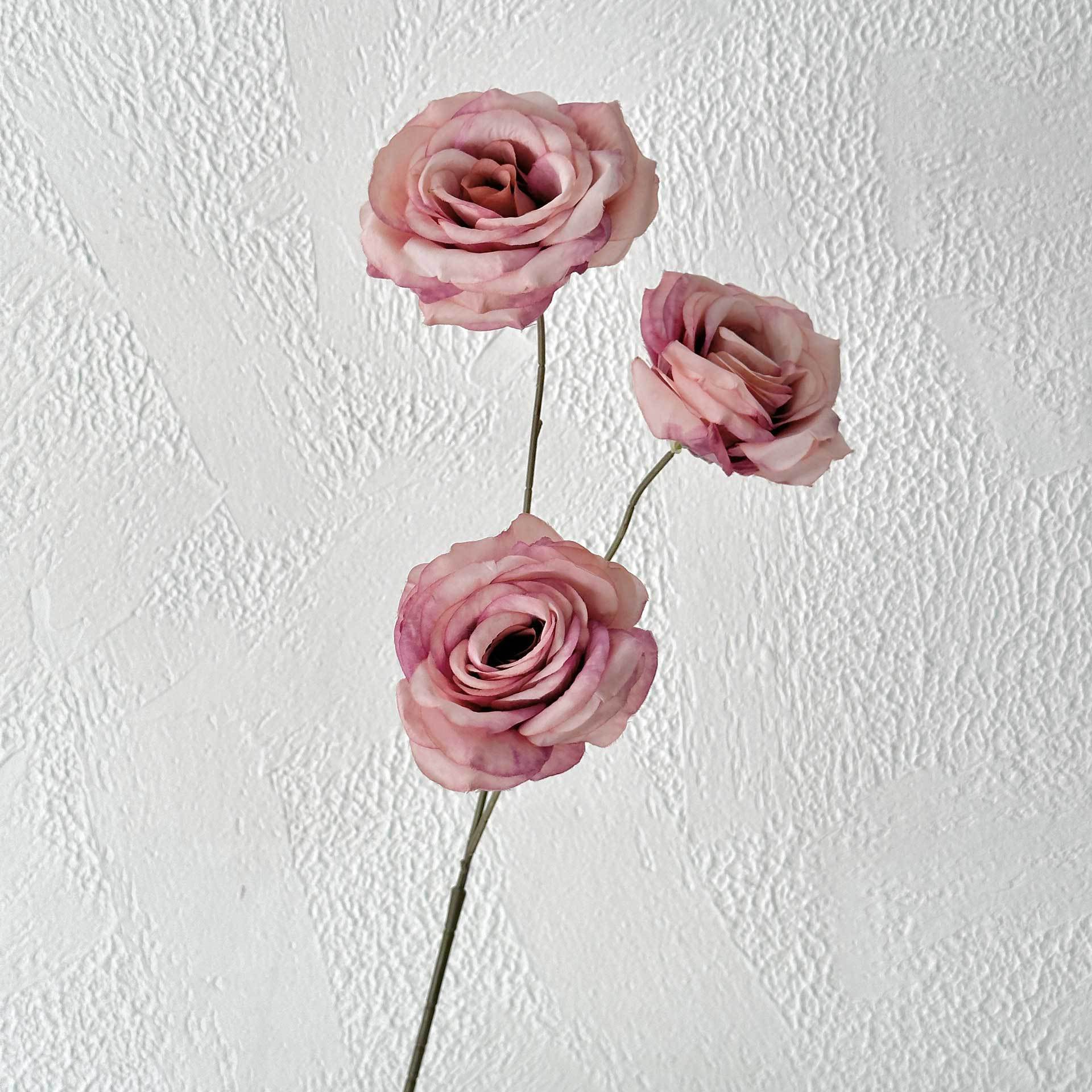 Tres rosas dulces moradas