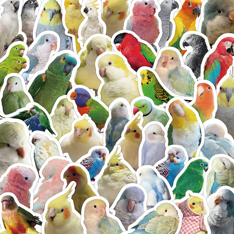 100 Realistic Style Parrot Cartoon Graffiti Stickers for Cross-Border Decoration of Water Bottles, Car Luggage, and Wholesale Stickers 100 Realistic Style Parrot Cartoon Graffiti Stickers for Cross-Border Decoration of Water Bottles, Car Luggage, and Wholesale Stickers