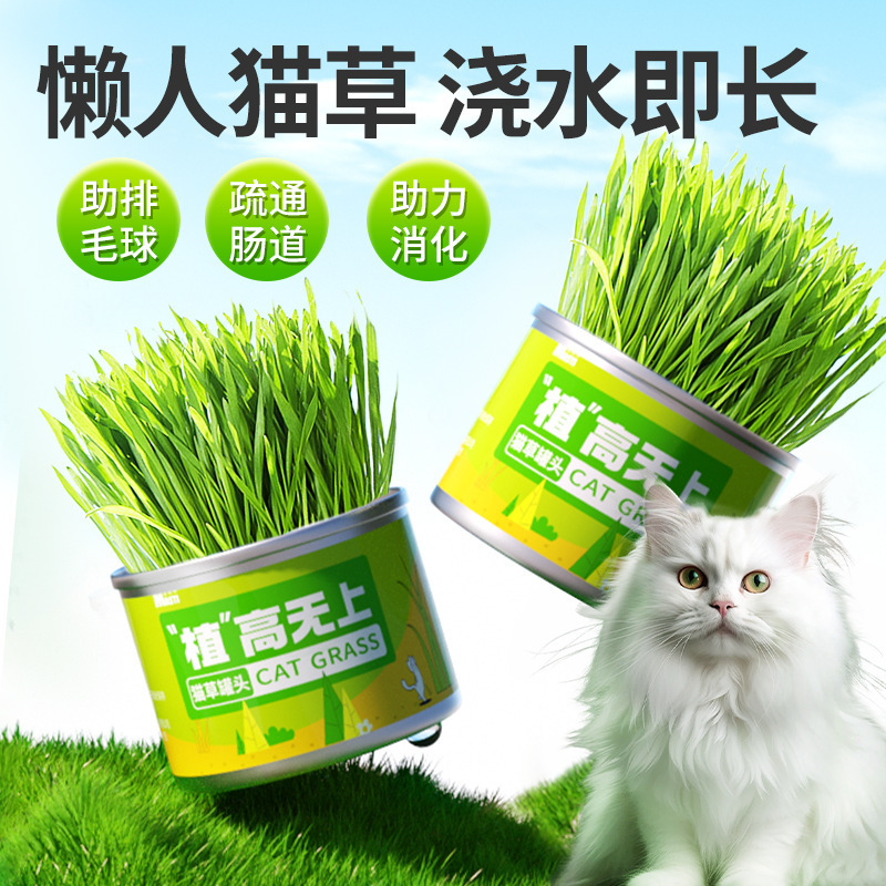 High Planting Cat Grass Pot Lazy Cat Grass Planting suit Cat Snacks Cat Grass Hair Balls Wheat Seedling Cat Grass Pot