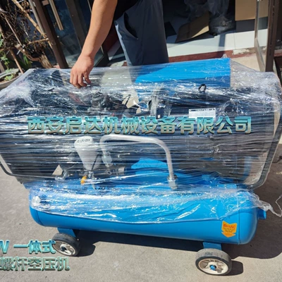 Hava kompressorları Integrated Spray True Stone Paint