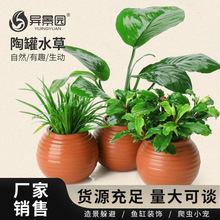 �~��ˮ���쾰�[��������ԾG�����݃�ˮ��ֲ�չ�ˮ�ݻ�ɽʯ�ײ�