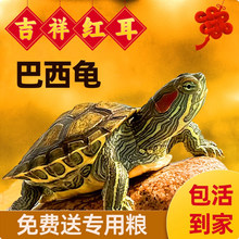 ��������t���������������缃�N���J�������^�p�m�ϼ��B��С����