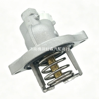 Thermostat Suitable for Envision